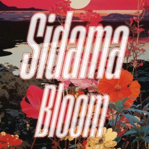 Sidama Bloom : la fleur, l’abricot et le chocolat dans votre tasse.