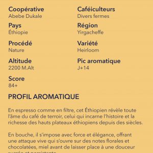 Data Coffee Cloud : le terroir originelle d’Éthiopie exprime le chocolat et la fleur