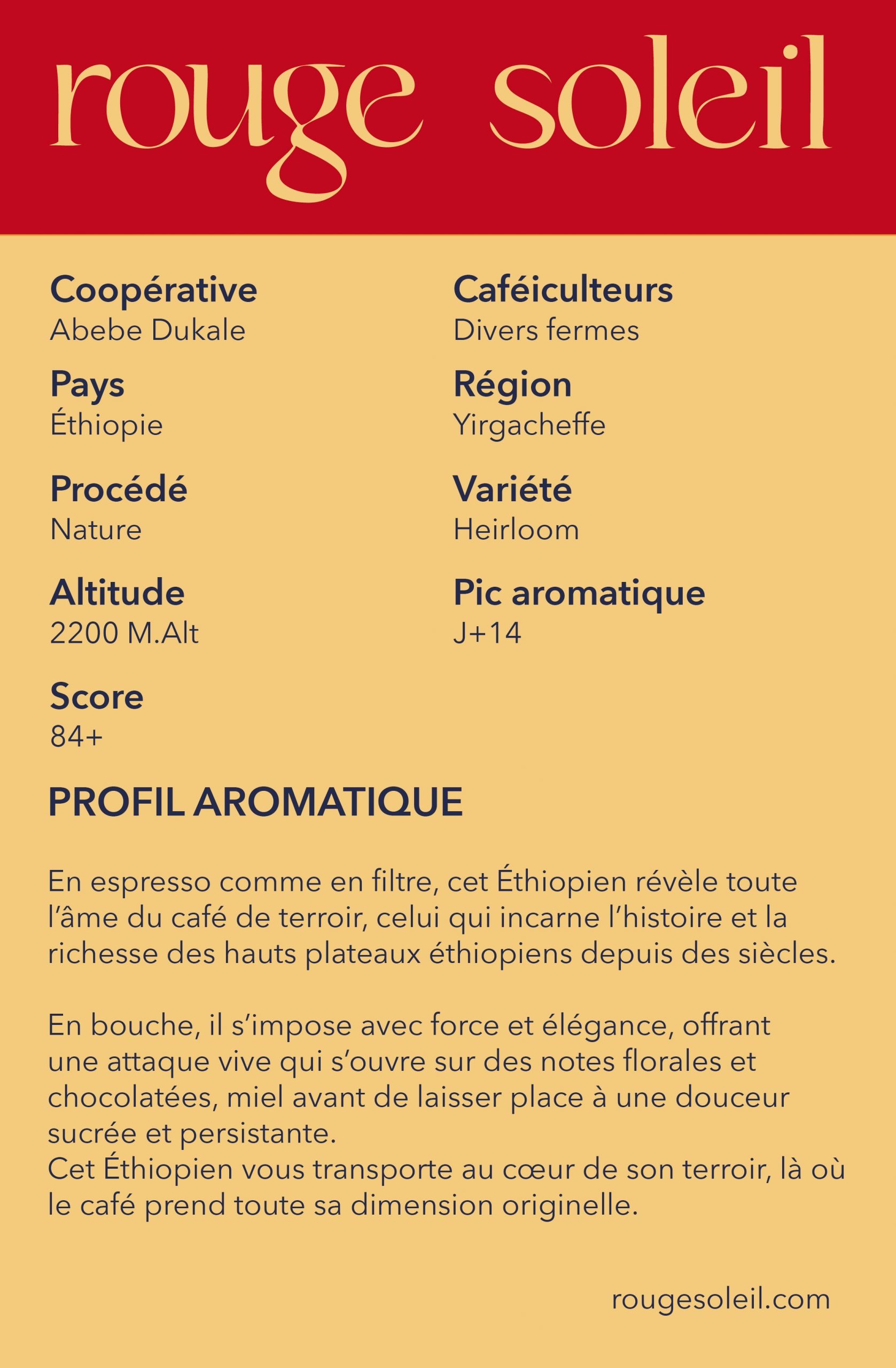 Data Coffee Cloud : le terroir originelle d'Éthiopie exprime le chocolat et la fleur – Image 2