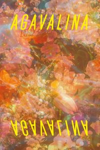 Agavalina : un assemblage de variétés lavé de Colombie