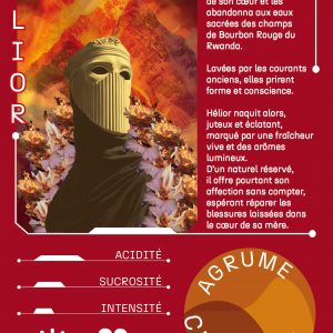 Hélior : né de l&rsquo;assemblage de Canephora Nature et Bourbon Rouge Lavé