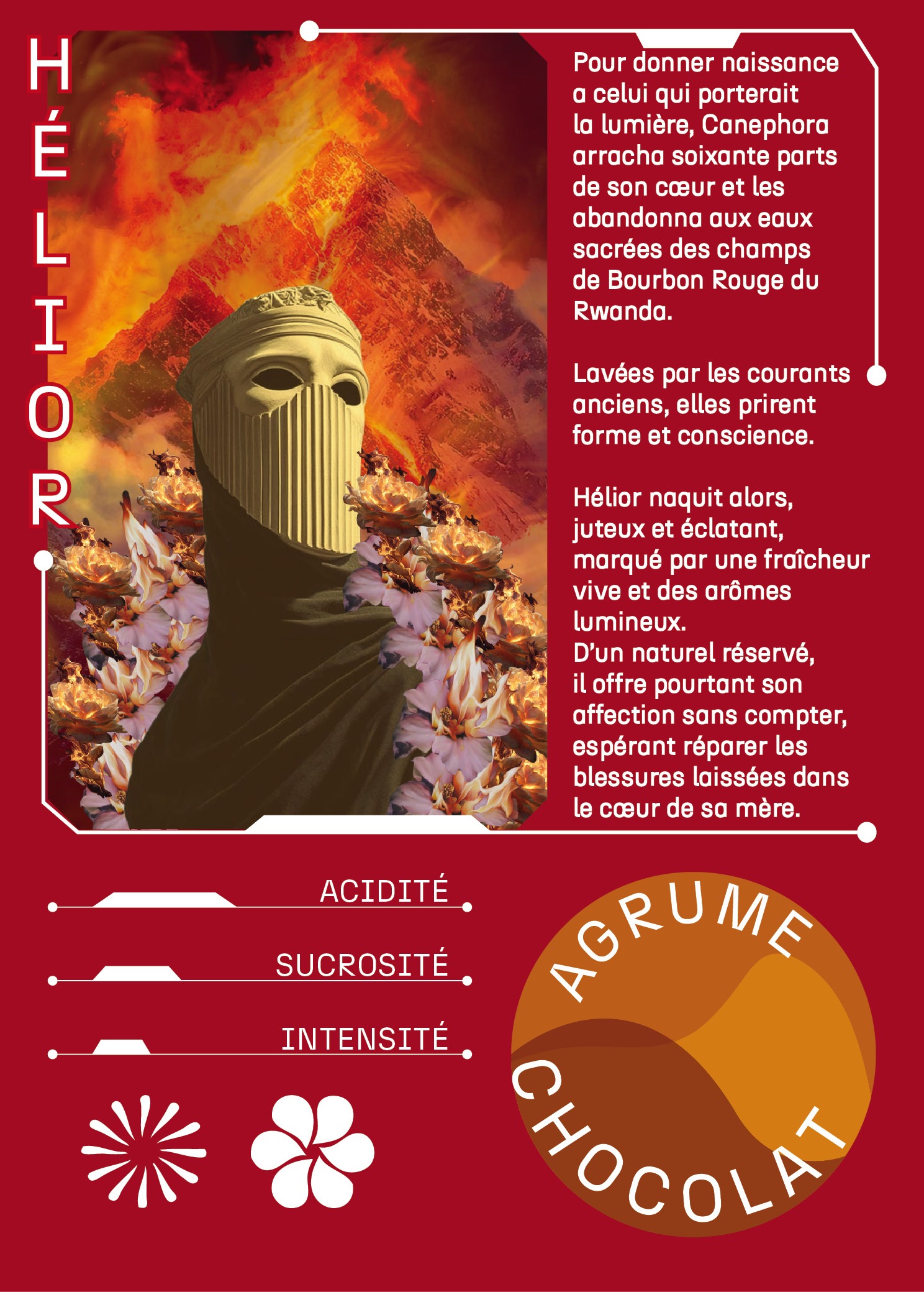 Hélior : né de l'assemblage de Canephora Nature et Bourbon Rouge Lavé