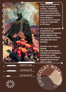 Solkaar : né de l'assemblage de Canephora et d'Heirloom Nature d'Éthiopie
