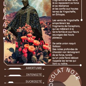 Solkaar : né de l&rsquo;assemblage de Canephora et d&rsquo;Heirloom Nature d&rsquo;Éthiopie