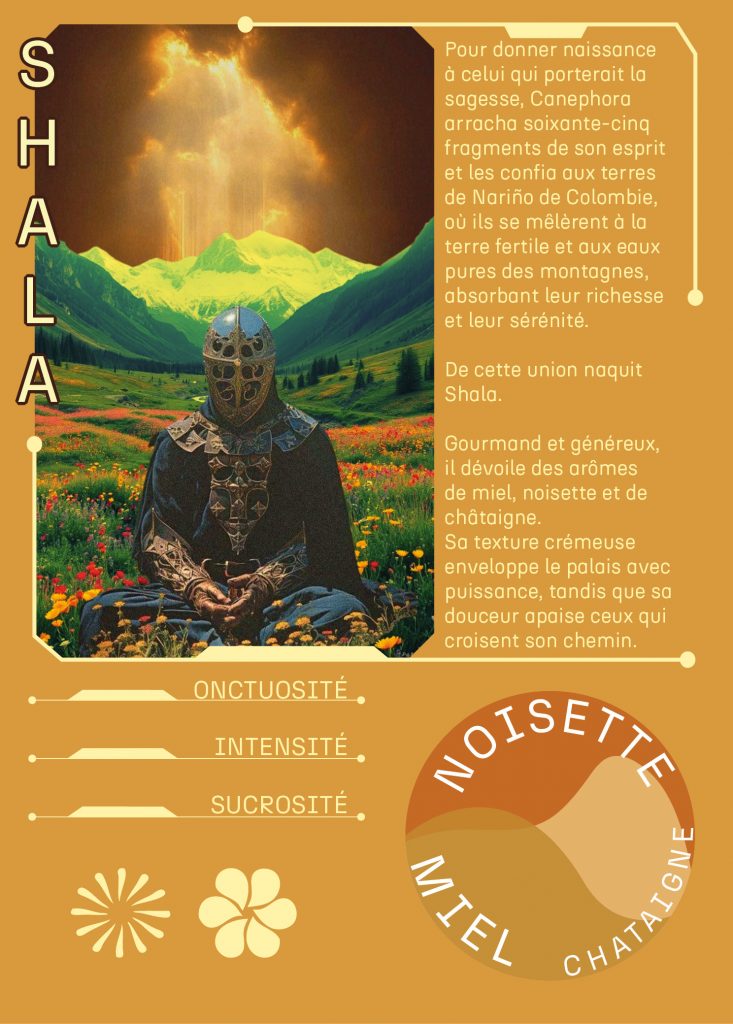 Shala : né de l'assemblage de Canephora Nature et de l'alliance du Caturra et Castillo Lavé